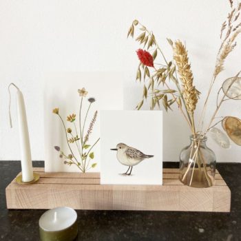 Secondary product image