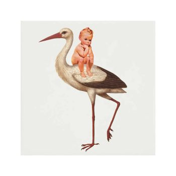 Baby met ooievaar | Lylies