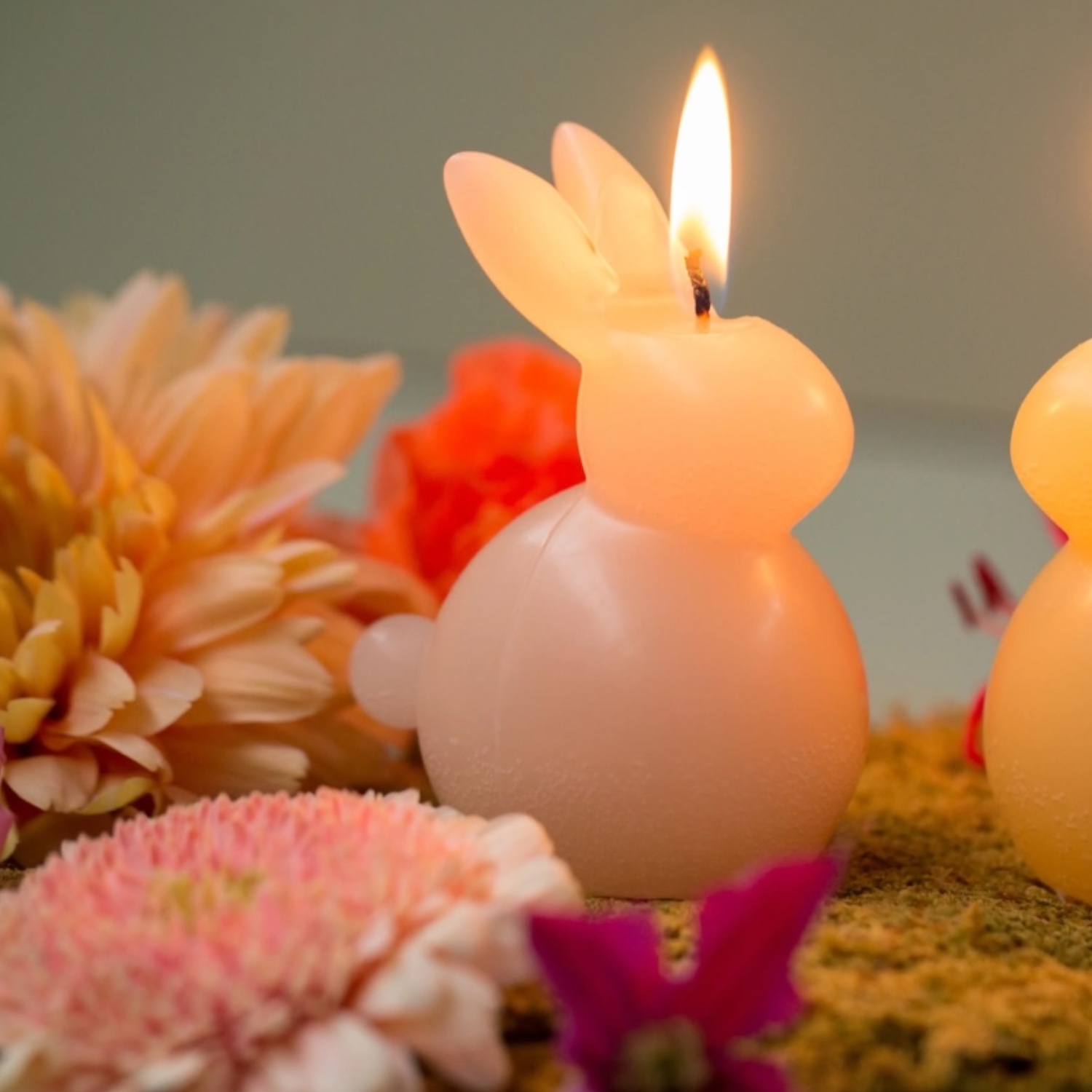 Bunny Blush | Rustik Lys