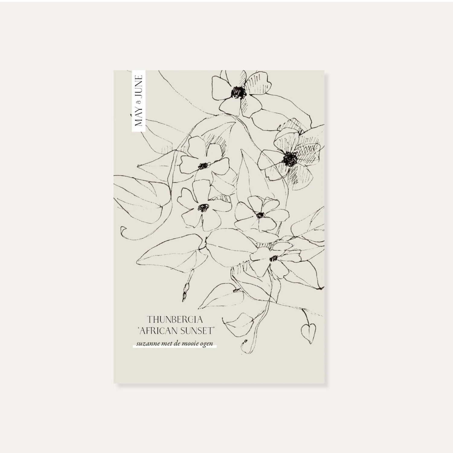 Thunbergia Alata ‘African Sunset’ | May & June