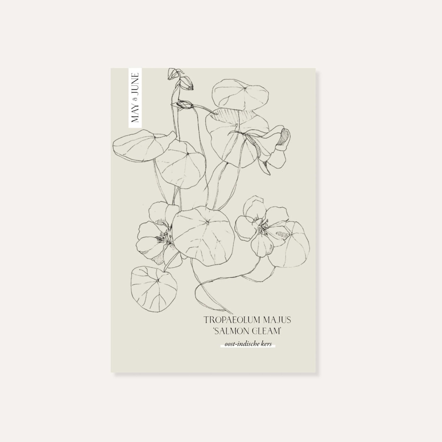 Tropaeolum Minus ‘Salmon Gleam’ | May & June