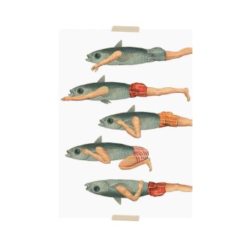 Zwemmende visjes net zwembroekjes | Lylies