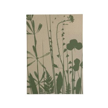 Cyanotypie 'Dreams II' | Liekiwi