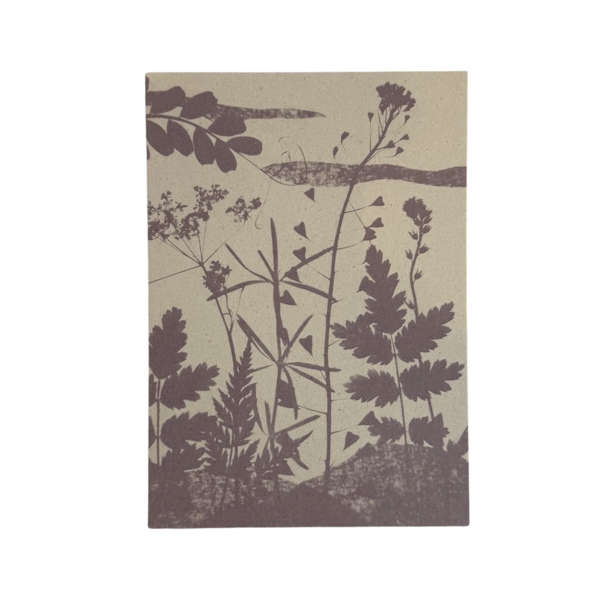 Cyanotypie 'Dreams I' | Liekiwi