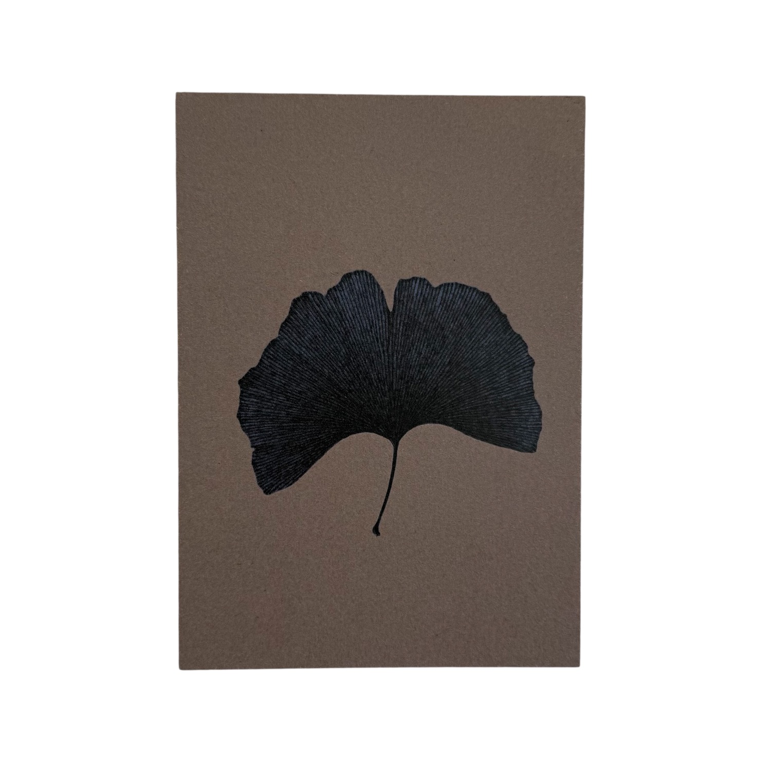 Gingko II | Liekiwi