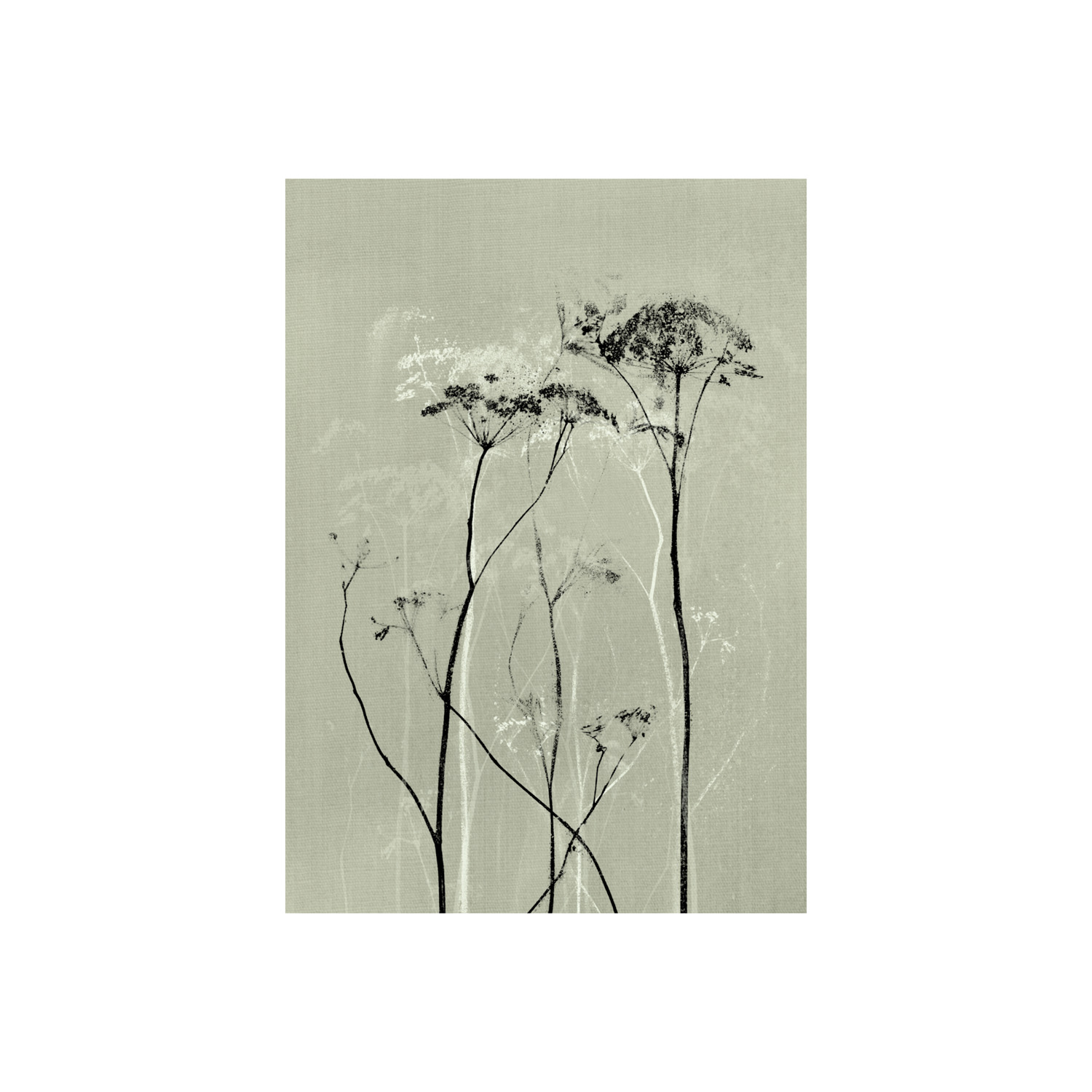 Mysterium Greenish Grey Kaart | Blooming Label