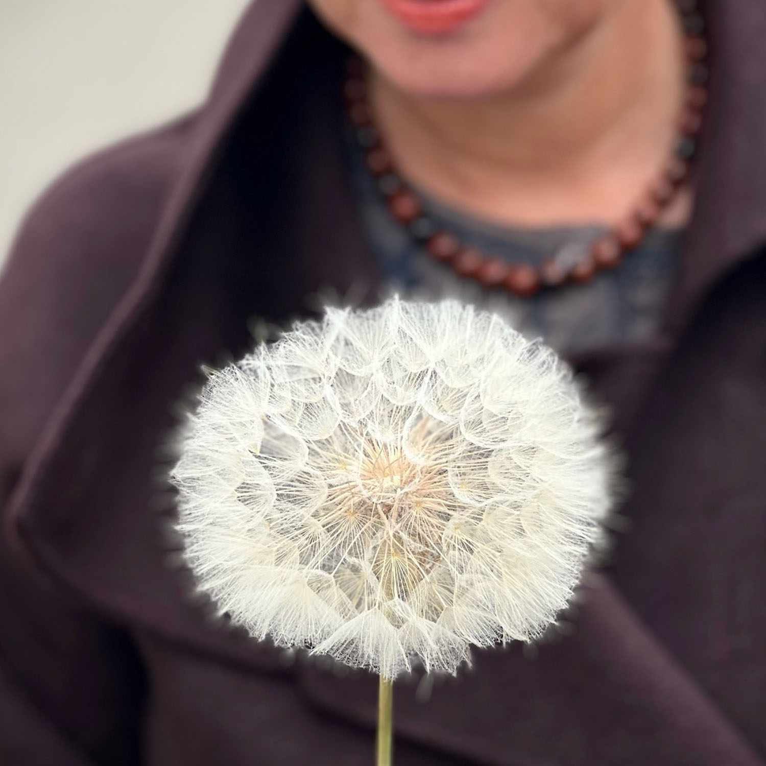 Necklace Dark Wood | Monk&Anna