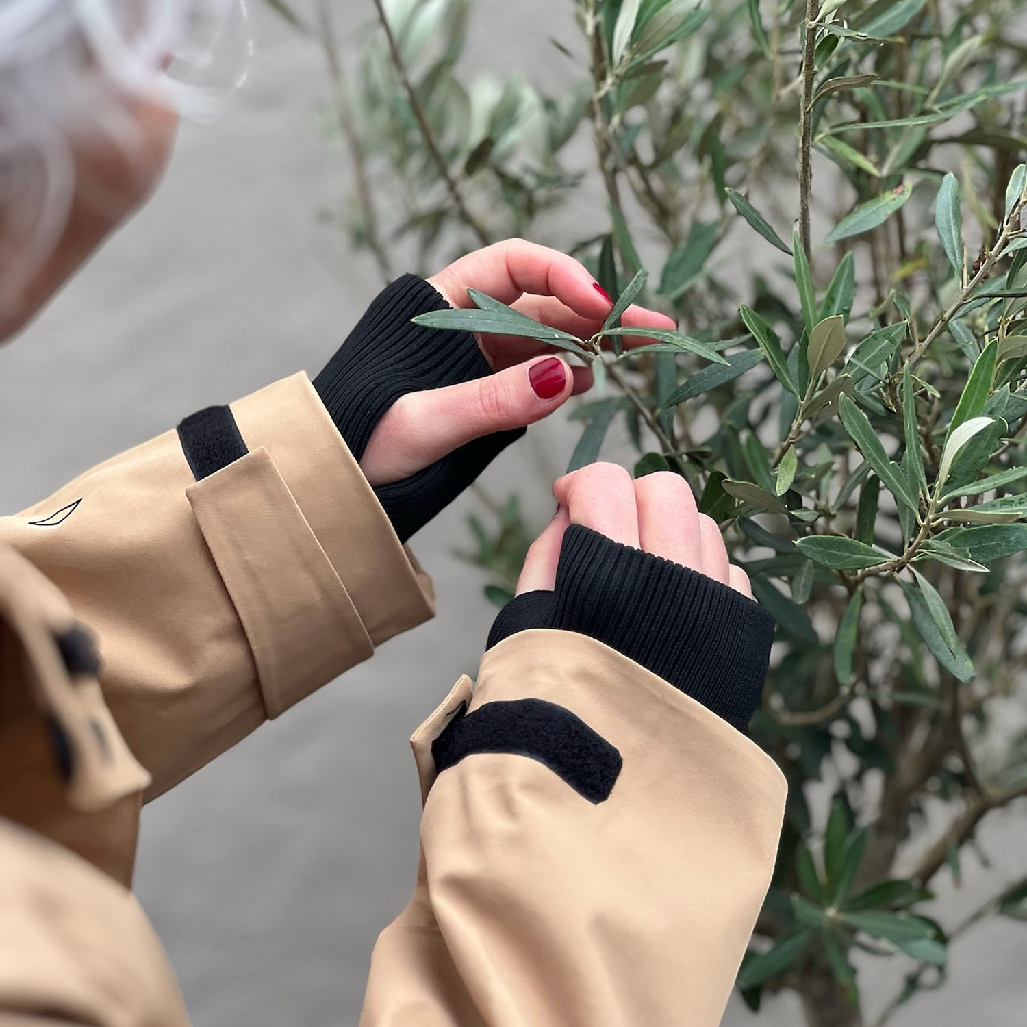 Nebula Tan | Gofranck