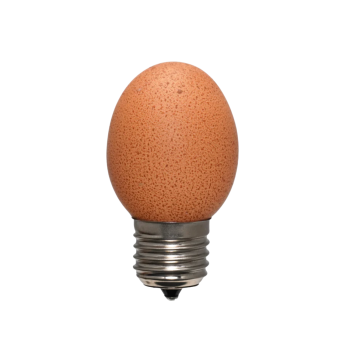 Eilamp Bruin | Egglamp