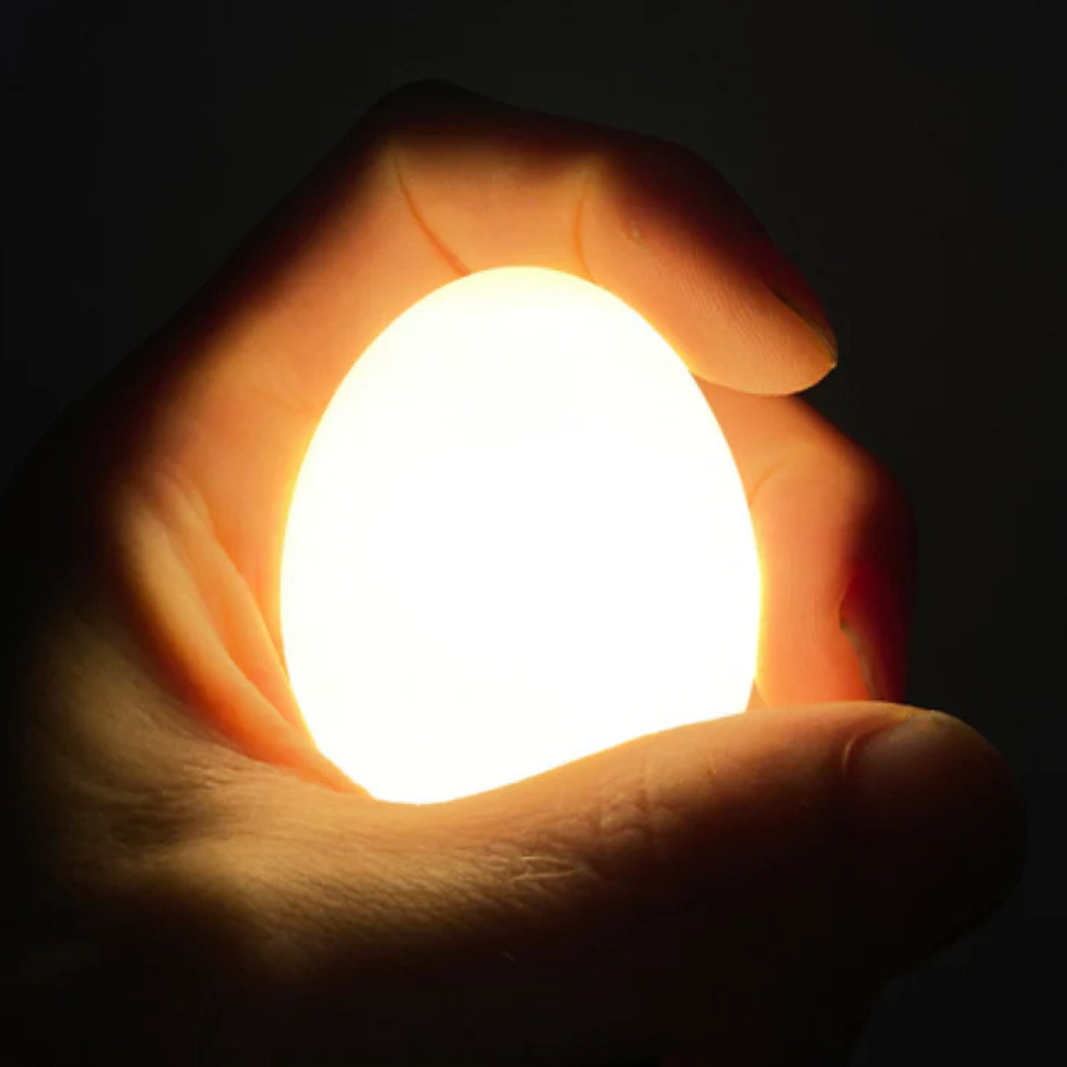 Eilamp White | Egglamp