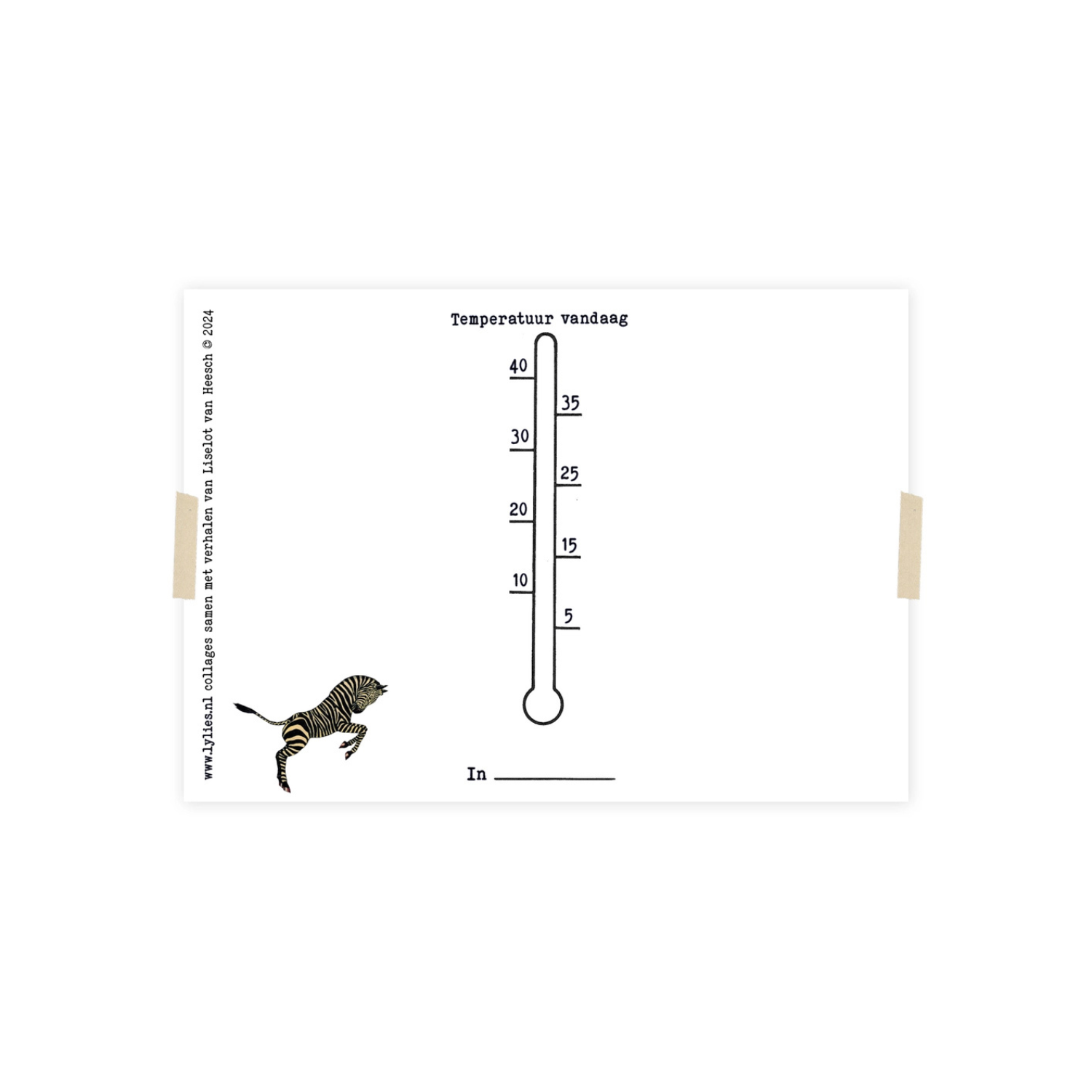 Postkaart Zebra | Lylies