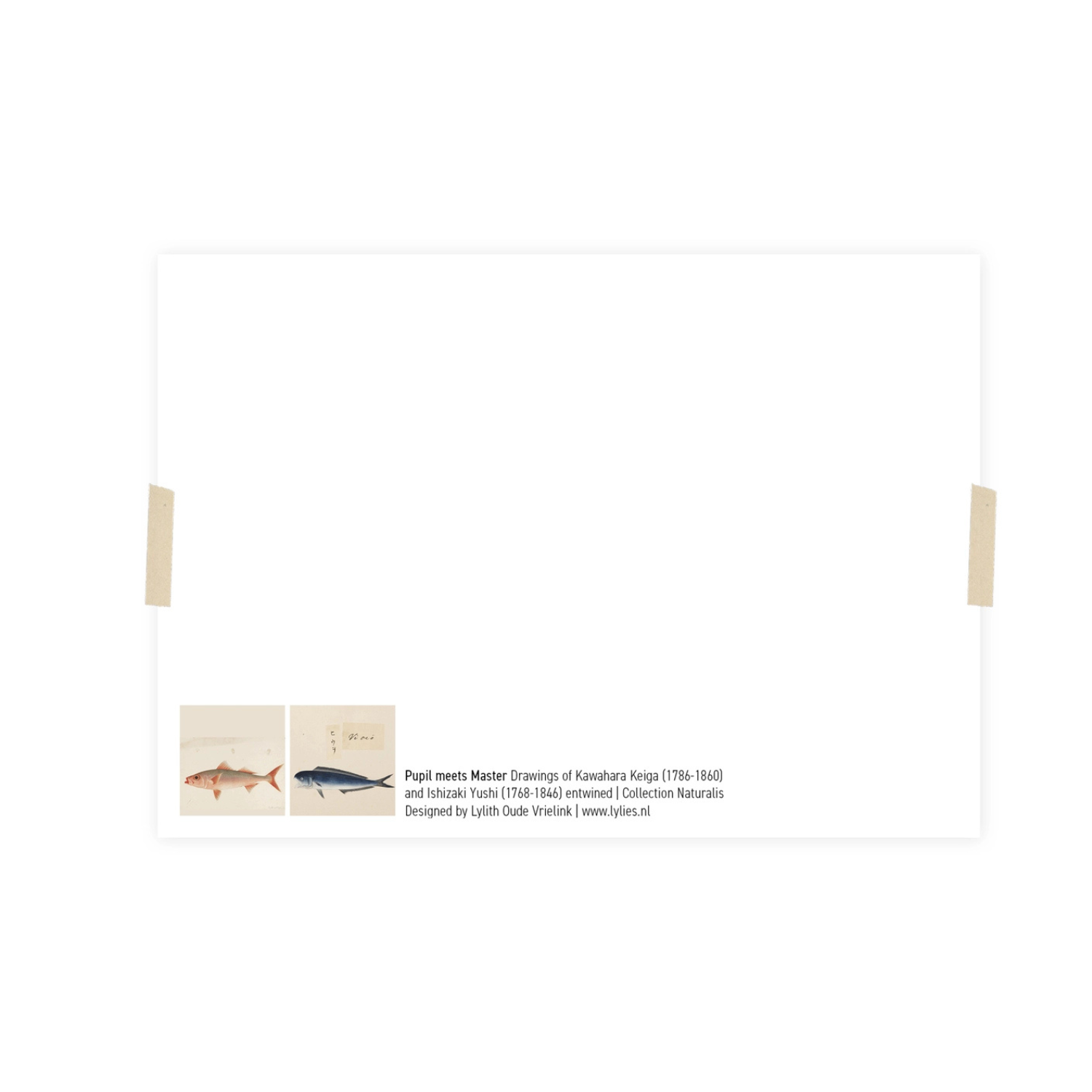 Postkaart The Parade Naturalis | Lylies