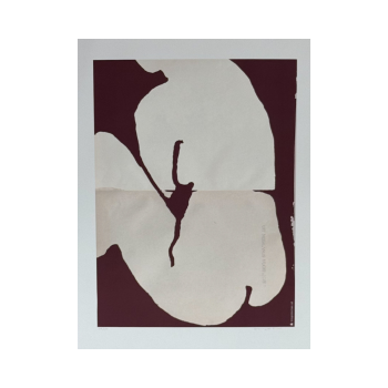 Tender Terre | Tinystories